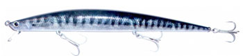 Tide Minnow FLYER