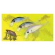 LEURRE LUCKY CRAFT BEVY MINNOW 40 SP