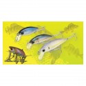 Lucky Craft Bevy Minnow 40 SP