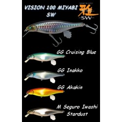 Megabass Vision 100 SW Miyabi