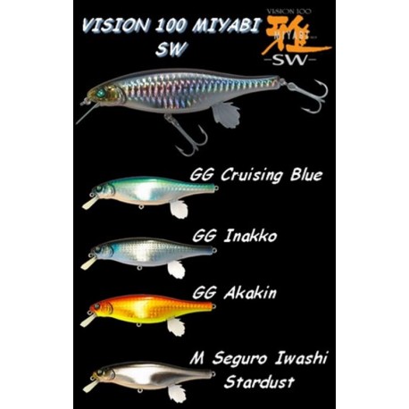 LEURRE MEGABASS VISION 100 SW