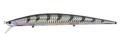 511687_8