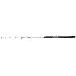 Canne Penn Conflict Jigging