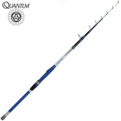 Canne Quantum Maniac Talento ST 3.00m