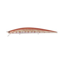 Duo Tide Minnow Slim 140