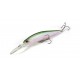 LEURRE DUO REALIS JERKBAIT 100DR