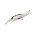 Duo Realis Jerkbait 100 DR