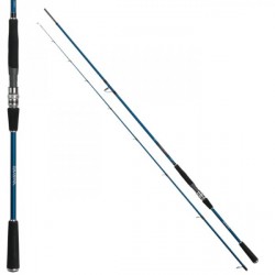 CANNE DAIWA INFEET SEABASS 802 HFS